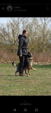 Ruby von der Schiffslache Ruby von der Schiffslache
