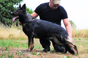 Emma vom Wolfseck Emma vom Wolfseck