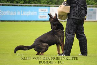 Kliff von der Friesenklippe Kliff von der Friesenklippe