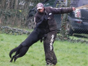 Gotcha aus Crikvenica Gotcha aus Crikvenica