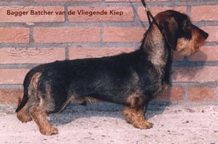 Bagger Batcher van de Vliegende Kiep Bagger Batcher van de Vliegende Kiep