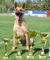 Esh iz Gratsiano Esh iz Gratsiano