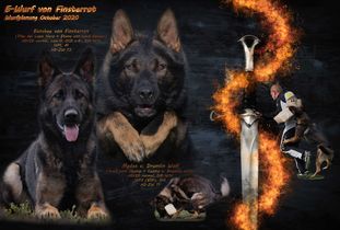 Banshee von Finsterrot Banshee von Finsterrot