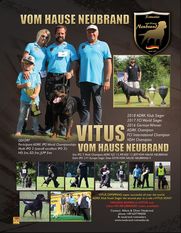 Vitus vom Hause Neubrand Vitus vom Hause Neubrand