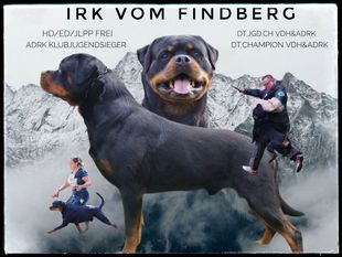 Irk vom Findberg Irk vom Findberg