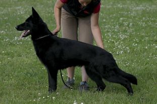 Ursa z Jukasu Ursa z Jukasu