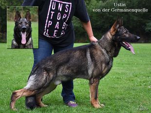 Ustin von der Germanenquelle Ustin von der Germanenquelle
