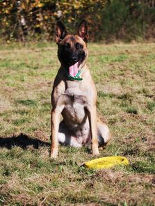 Malinoid Cloppe Malinoid Cloppe