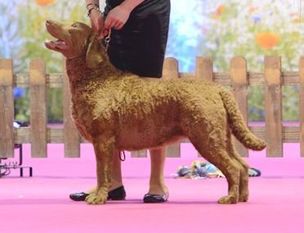 World Winner Key Kelecsky Poklad World Winner Key Kelecsky Poklad