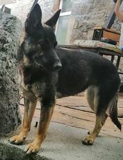 Ita von Sico Schwarz Haus Ita von Sico Schwarz Haus