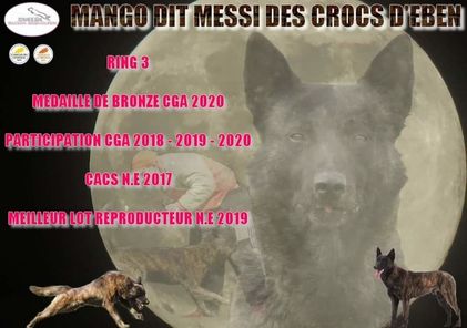 Mango dit Messi des Crocs d'Eben Mango dit Messi des Crocs d'Eben