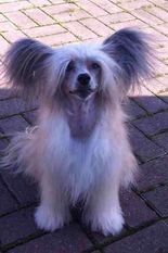Bryelis Wind In Her Hair Bryelis Wind In Her Hair