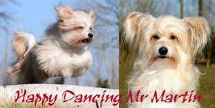 Happy Dancing Mr Martin Happy Dancing Mr Martin