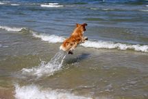 Bild von Jule vom Julienhof