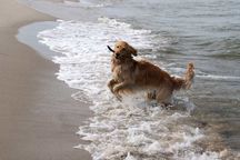 Bild von Jule vom Julienhof