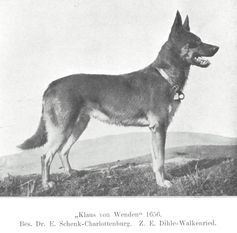 Klaus von Wenden Klaus von Wenden