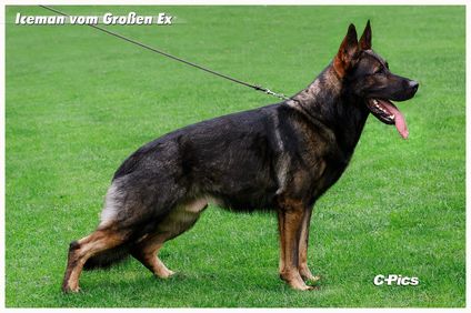 Iceman vom Großen Ex
