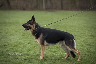 Uzoma von Walshagen Uzoma von Walshagen