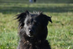 Momo (Stolpe) Momo (Stolpe)