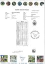 MosesDNA.pdf