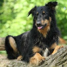 Toni (Siegert) Toni (Siegert)