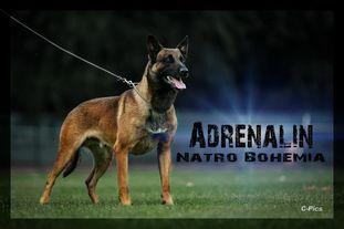 Adrenalin Natro Bohemia Adrenalin Natro Bohemia