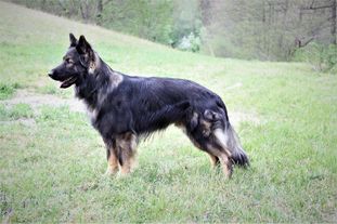 Edgar von Gondor Edgar von Gondor