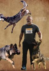 Peppino vom Heidhof Peppino vom Heidhof