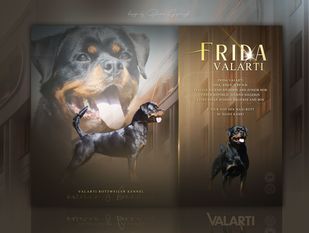 Frida Valarti Frida Valarti