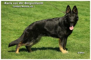 Karla von der Bergschlucht Karla von der Bergschlucht