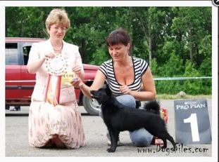 New Black Nell S Krasnoy Gorki New Black Nell S Krasnoy Gorki
