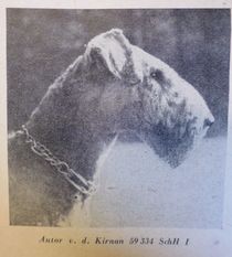 Autor von der Kirnau Autor von der Kirnau