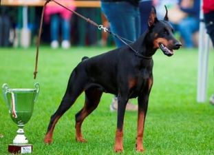 Beatrice LOI 1530336 Beatrice LOI 1530336
