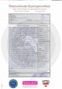 IHA Innbruck Richterbericht Jonny dlmu.pdf