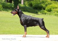 Tahi-Reme Kaylie
