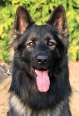 Edgar von Gondor Edgar von Gondor