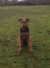 Barnaby von der frechen Motte Barnaby von der frechen Motte