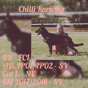 Chilli Karsang Chilli Karsang
