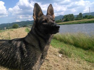 Sava zo Žiaru Sava zo Žiaru
