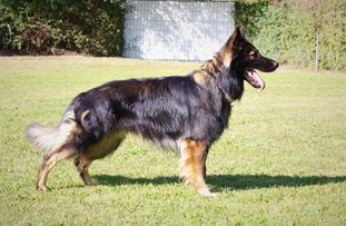 Edgar von Gondor Edgar von Gondor