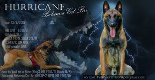 Hurricane Bohemia Col-Bri Hurricane Bohemia Col-Bri