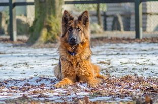 Nikita vom Messebau Nikita vom Messebau