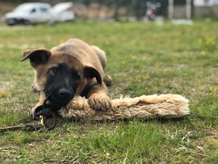 Ateş von Kare Ateş von Kare