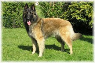 Lexa von Calruna Lexa von Calruna