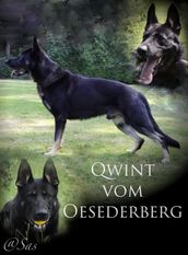 Qwint vom Oesederberg Qwint vom Oesederberg
