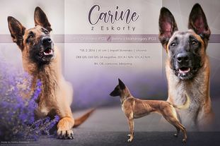 Carine z Eskorty Carine z Eskorty