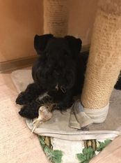 Marny vom Rohrteich Marny vom Rohrteich