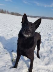 Denzel (Schmidt) Denzel (Schmidt)