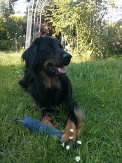 Cleo von Hohenleina Cleo von Hohenleina
