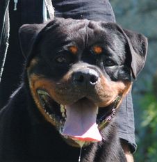 Morgan von Hause Leroy Morgan von Hause Leroy